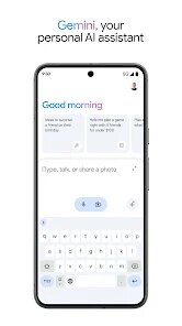 Google Gemini screenshot 1