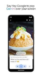 Google Gemini screenshot 6