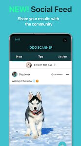 Dog Scanner: Breed Recognition screenshot 4