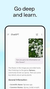 ChatGPT screenshot 4
