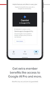 Google One screenshot 4