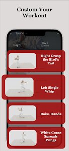 Tai Chi Workout at Home screenshot 5