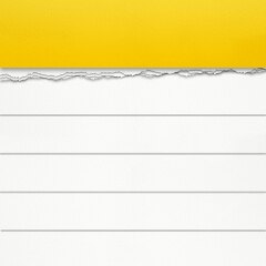 Notepad, Notes, Easy Notebook