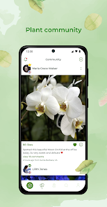 PlantSnap plant identification screenshot 2