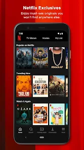 Netflix screenshot 2