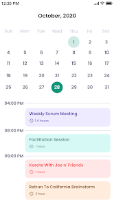 Calendar screenshot 1