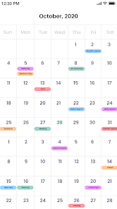 Calendar screenshot 4