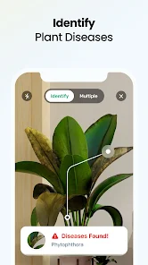 Plant App - Plant Identifier screenshot 3