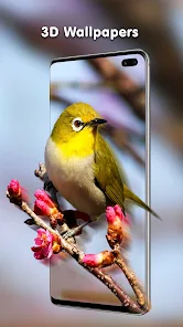 Transparent Live Wallpaper screenshot 4